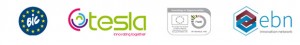LOGO STRIP 1