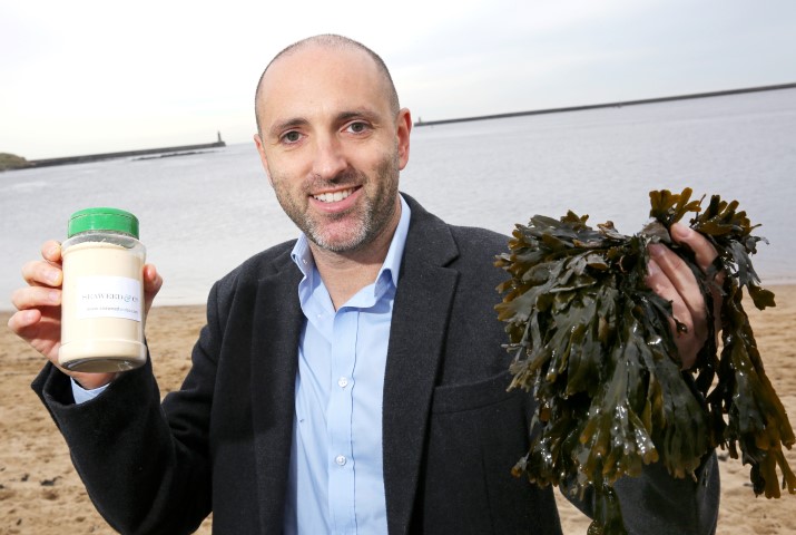 Seaweed and Co