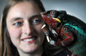 Business owner Helen Glenwright and Neil the chameleon