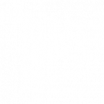 BIC Logo