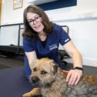 Physio centre dedicated to dogs opens at the BIC