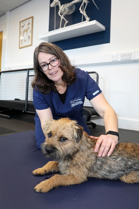 Physio centre dedicated to dogs opens at the BIC - North East BIC Physio centre dedicated to dogs opens at the BIC - North East BIC