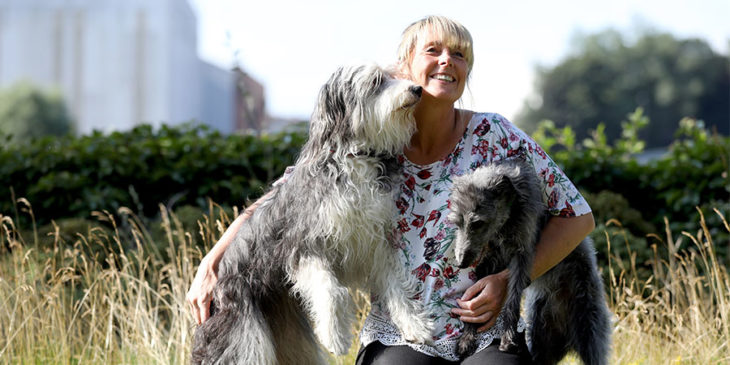Start Up Support Client - Donna and her Dogs
