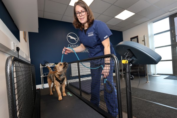 The Canine Physiotherapy & Performance Centre