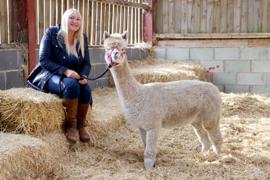 Sunderland Training and Education Farm