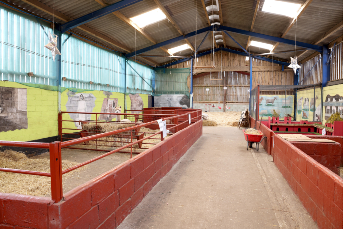 Sunderland Training and Education Farm