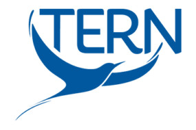 TERN Logo