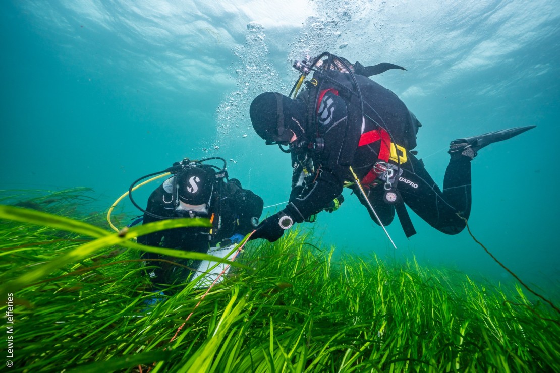 Oceans Conference