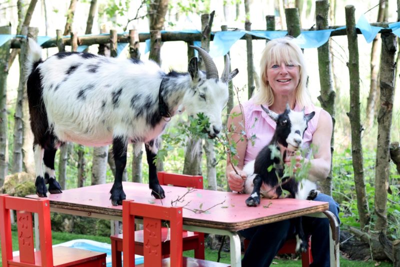 Humbles Wood Farm