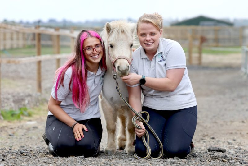 Wagtail Equine Therapy