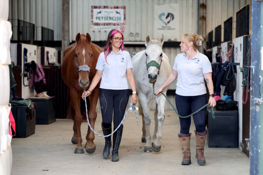 Wagtail Equine Therapy
