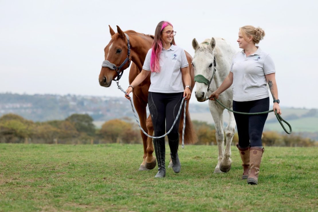 Wagtail Equine Therapy